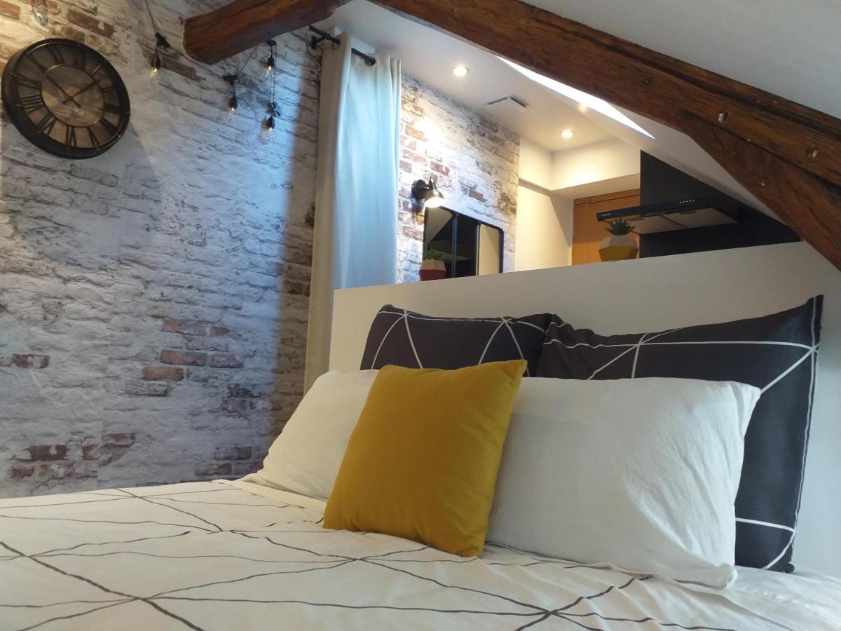 Les Volets Bleus - Deux Appartements Et Un Studio, Jardin Bourges Dış mekan fotoğraf