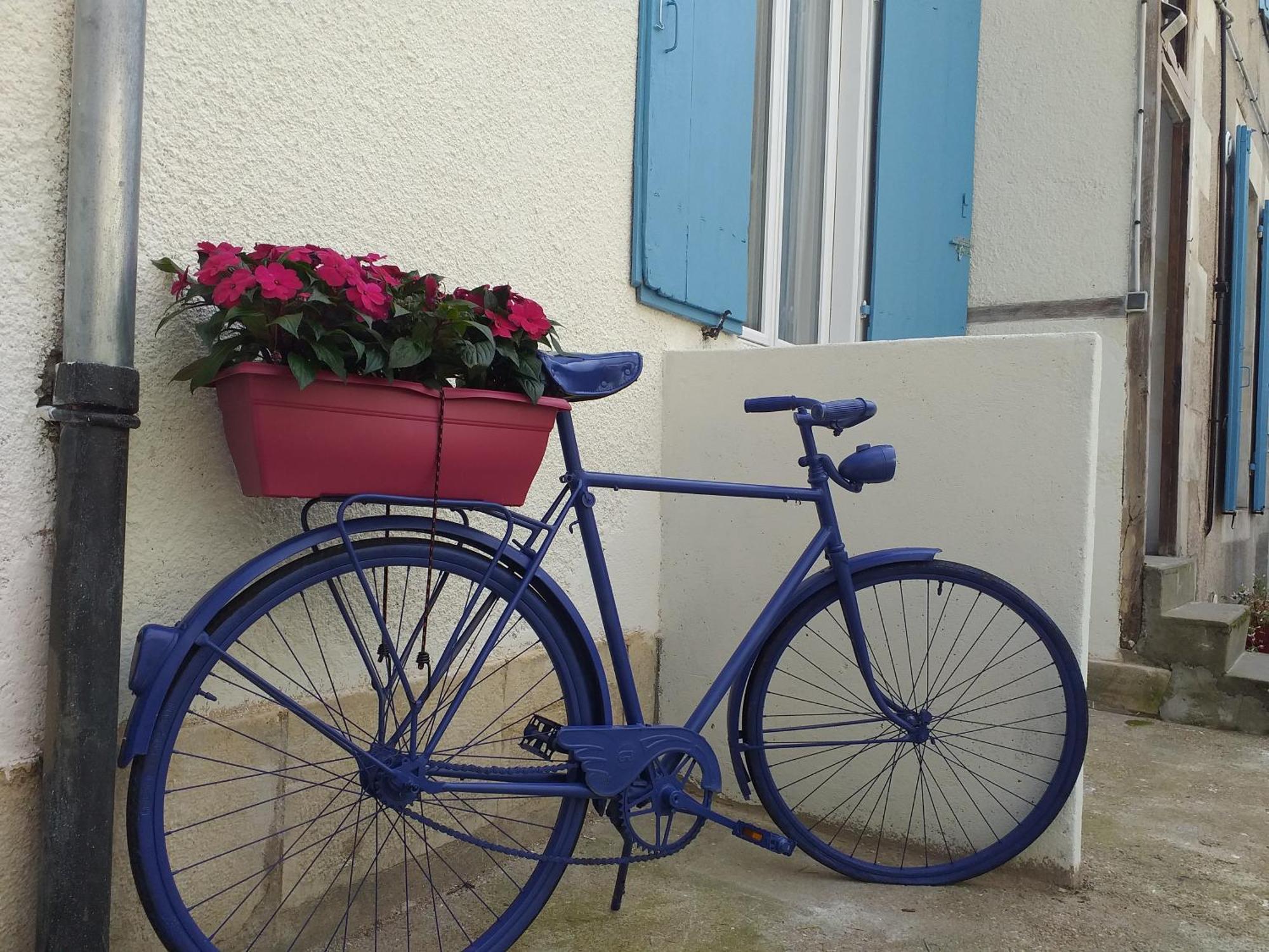 Les Volets Bleus - Deux Appartements Et Un Studio, Jardin Bourges Oda fotoğraf