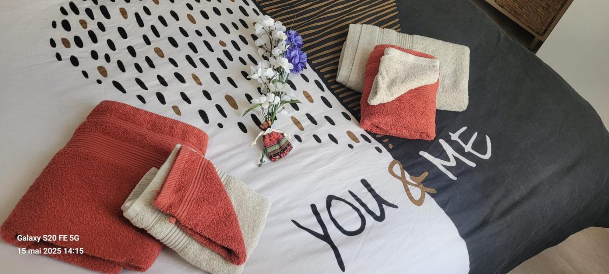 Les Volets Bleus - Deux Appartements Et Un Studio, Jardin Bourges Dış mekan fotoğraf